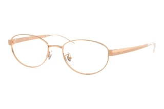 [glasses-front-view] Ray-Ban RX3774VD (3094)