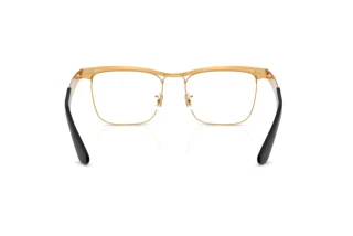 [glasses-back-view] Ray-Ban WAYFARER DELUXE (RX3875V - 3191)