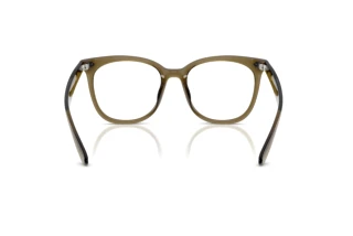 [glasses-back-view] Ray-Ban RX4379VD (8445)