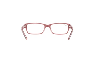 Vy bakifrån Ray-Ban RX5169 (8120)