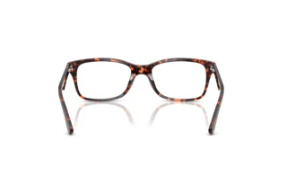 [glasses-back-view] Ray-Ban RX5228 (8423)