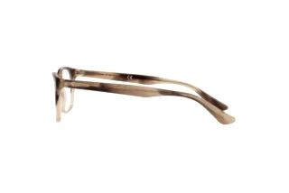 Sidovy Ray-Ban RX5375 (8107)