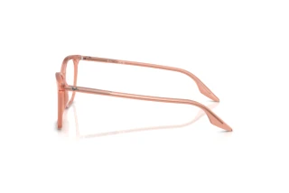 [glasses-side-view] Ray-Ban RX5422 (8503)