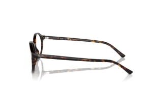 Vista lateral Ray-Ban GERMAN (RX5429 - 2012)