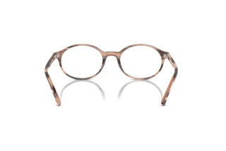 [glasses-back-view] Ray-Ban GERMAN (RX5429 - 8358)