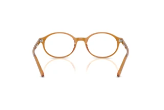 [glasses-back-view] Ray-Ban GERMAN (RX5429 - 8439)