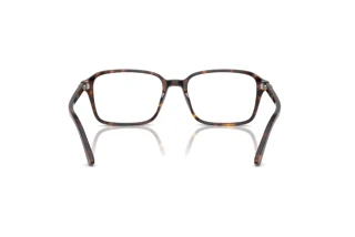 Vista posterior Ray-Ban RAIMOND (RX5431 - 2012)