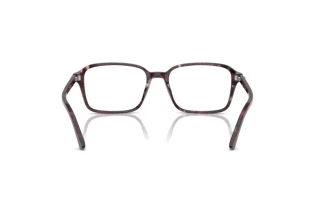 Vista posterior Ray-Ban RAIMOND (RX5431 - 8393)