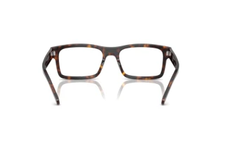 [glasses-back-view] Ray-Ban RX5435 (2012)