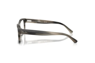 Vista lateral Ray-Ban RX5435 (8404)