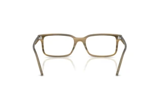 Vedere din spate Ray-Ban RX5445 (8454)