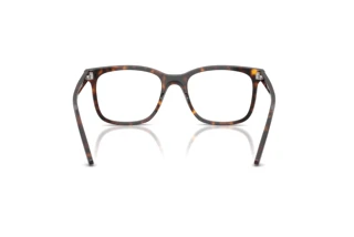 Vedere din spate Ray-Ban RX5446 (2012)