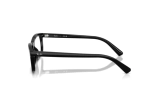 [glasses-side-view] Ray-Ban RX5450 (2000)