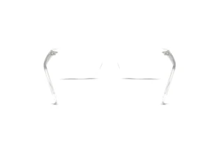 [glasses-back-view] Ray-Ban RX5450 (2001)