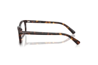 [glasses-side-view] Ray-Ban RX5450 (2012)