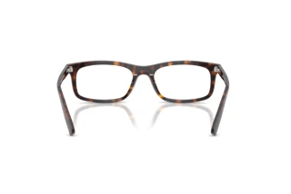 [glasses-back-view] Ray-Ban RX5450 (2012)