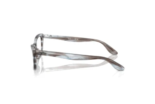 [glasses-side-view] Ray-Ban LADY BURBANK (RX5499 - 8361)