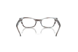 [glasses-back-view] Ray-Ban LADY BURBANK (RX5499 - 8361)