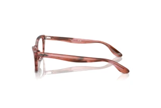 [glasses-side-view] Ray-Ban LADY BURBANK (RX5499 - 8363)