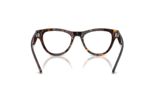 Vista posterior Ray-Ban RX5510 (2012)