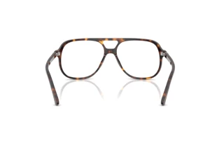 [glasses-back-view] Ray-Ban RX5698 (2012)