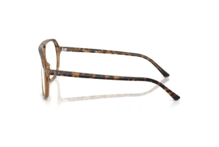 [glasses-side-view] Ray-Ban RX5698 (8109)