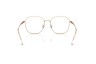 Vista posterior Ray-Ban RX6490D (3094)