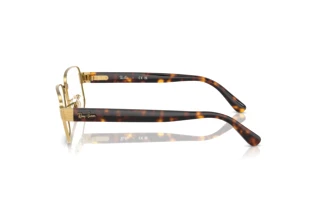 Vista lateral Ray-Ban RX6529 (2500)