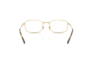 Vista posterior Ray-Ban RX6533 (2500)