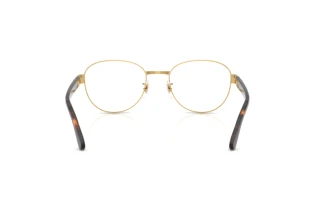 [glasses-back-view] Ray-Ban RX6543 (2500)