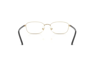 [glasses-back-view] Ray-Ban RX6551D (2993)