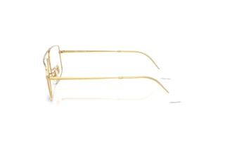 [glasses-side-view] Ray-Ban RX6579 (RX6579 - 2500)