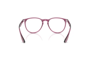 [glasses-back-view] Ray-Ban ERIKA (RX7046 - 8509)