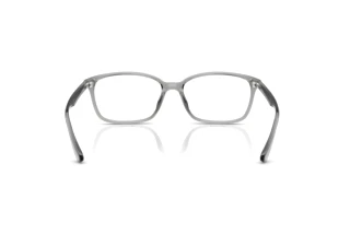 Vista posterior Ray-Ban RX7094D (8012)