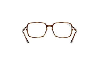 [glasses-back-view] Ray-Ban RX7198 (2012)