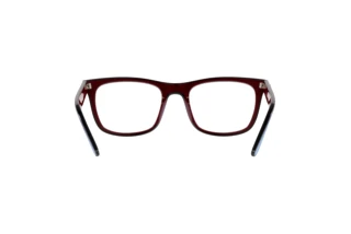 Πίσω όψη Ray-Ban RX7209 (8213)