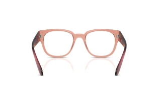 [glasses-back-view] Ray-Ban RX7210 (8314)