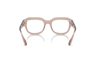 Vista posterior Ray-Ban LEONID (RX7225 - 8317)