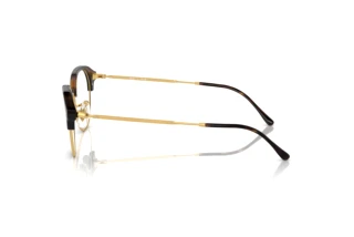 Vista lateral Ray-Ban RX7229 (2012)