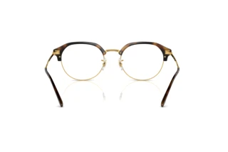 Vista posterior Ray-Ban RX7229 (2012)