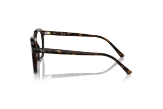 Vista lateral Ray-Ban ALICE (RX7238 - 2012)