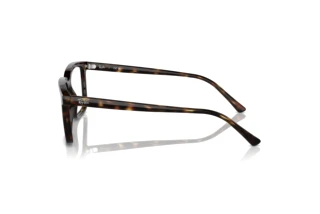 Vista lateral Ray-Ban ALAIN (RX7239 - 2012)