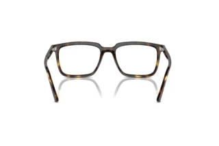 Vista posterior Ray-Ban ALAIN (RX7239 - 2012)
