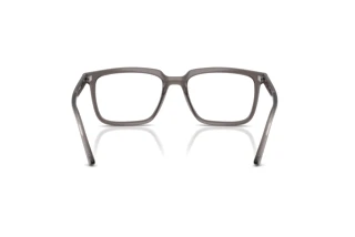 [glasses-back-view] Ray-Ban ALAIN (RX7239 - 8506)