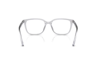 Vista posterior Ray-Ban RX7248D (8411)