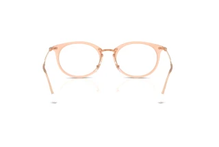 Vista posterior Ray-Ban RX7255 (8124)