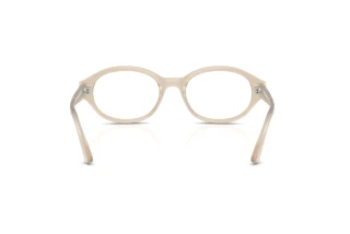 Vista posterior Ray-Ban SHILO (RX7257 - 8433)