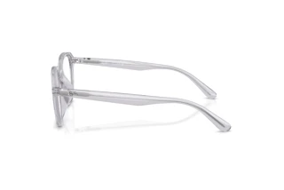 Sidovy Ray-Ban RX7259D (8411)