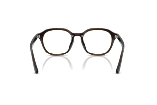 [glasses-back-view] Ray-Ban RX7259D (8502)