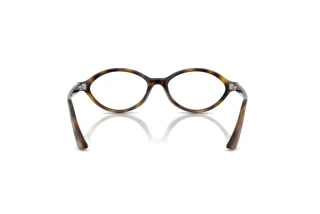 [glasses-back-view] Ray-Ban RX7265 (8320)